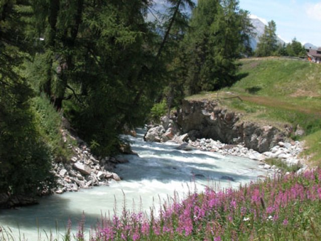 Engadin 2003