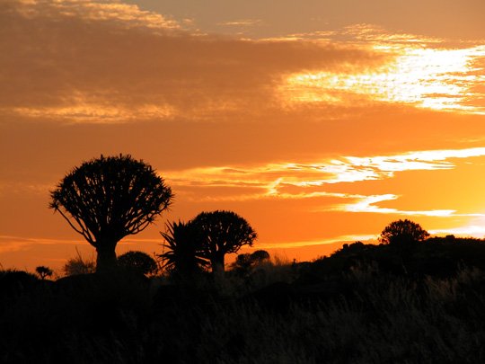 Namibia 2004