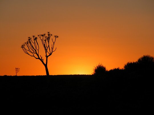 Namibia 2004