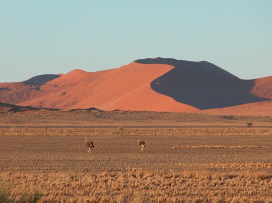 Namibia 2004