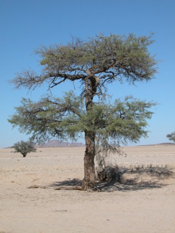 Namibia 2004