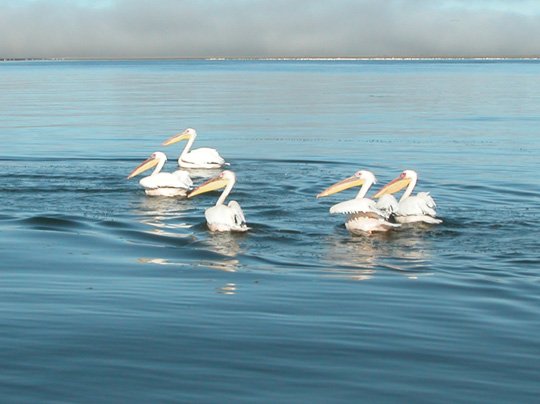 Namibia 2004