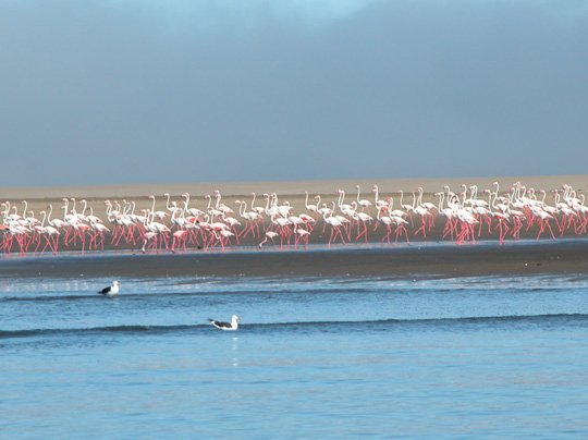 Namibia 2004