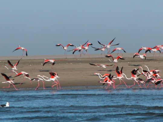 Namibia 2004