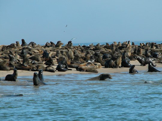 Namibia 2004