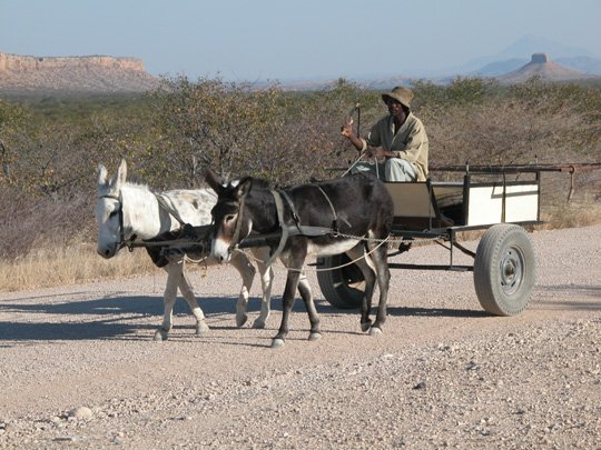 Namibia 2004