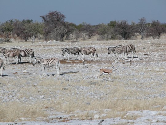 Namibia 2004