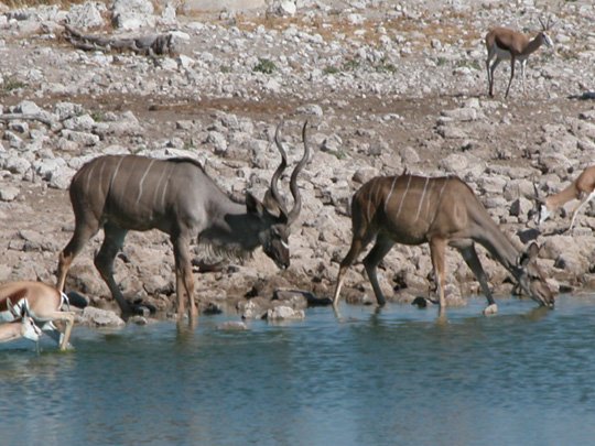 Namibia 2004