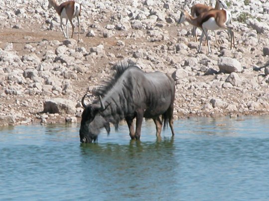 Namibia 2004