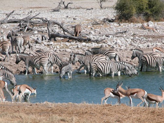 Namibia 2004