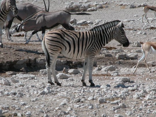 Namibia 2004