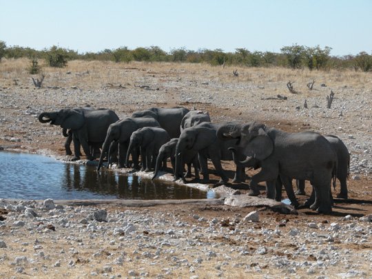 Namibia 2004