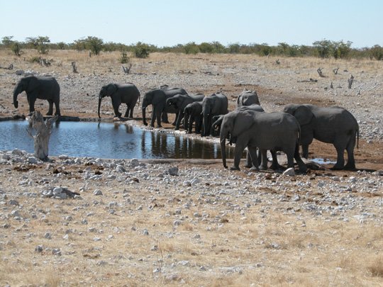 Namibia 2004