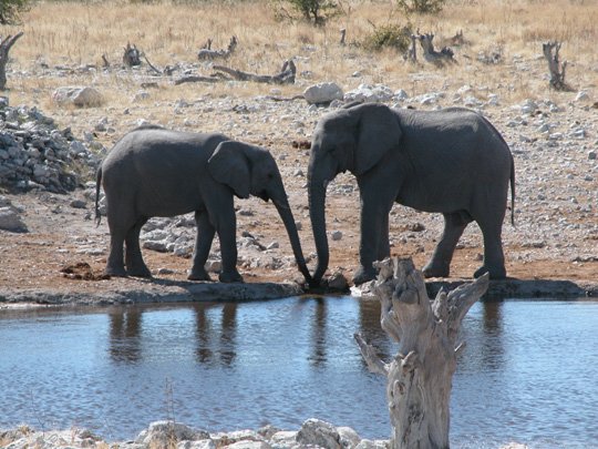 Namibia 2004