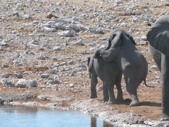 Namibia 2004