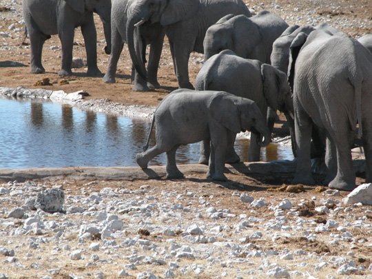 Namibia 2004