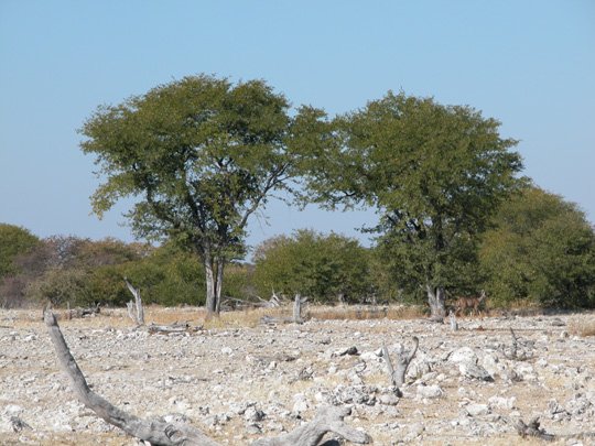 Namibia 2004