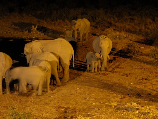 Namibia 2004