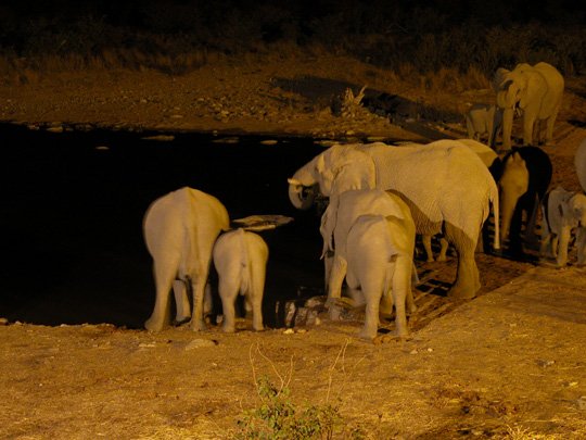 Namibia 2004