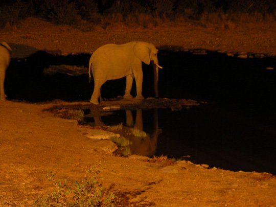 Namibia 2004