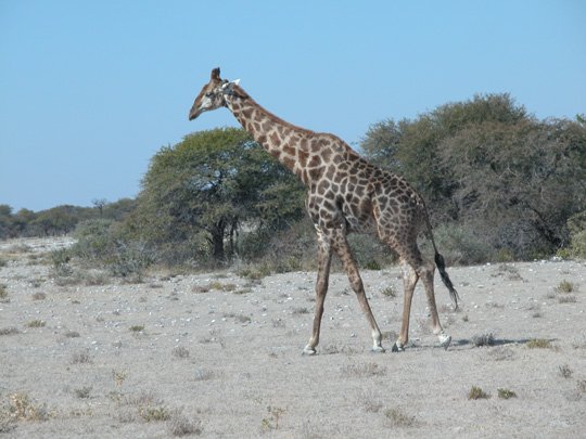 Namibia 2004