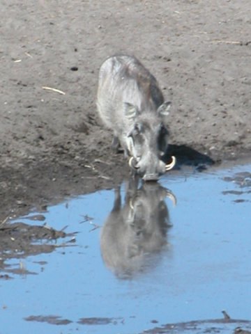 Namibia 2004