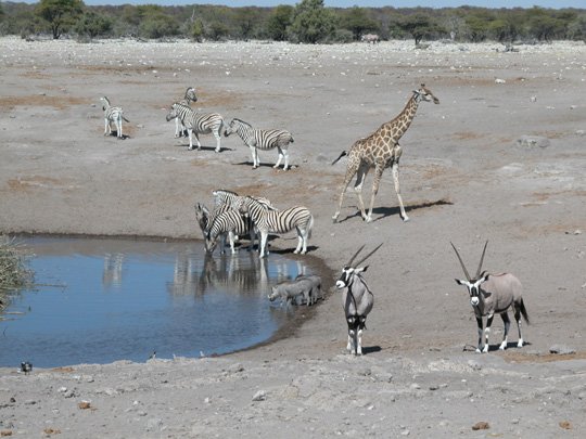 Namibia 2004