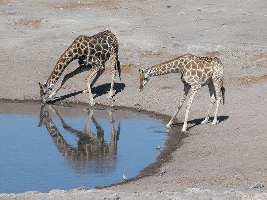 Namibia 2004