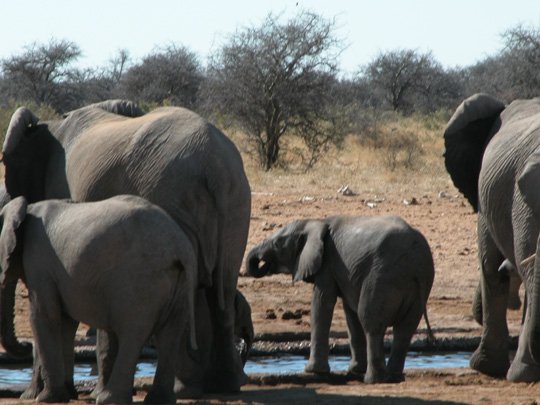 Namibia 2004