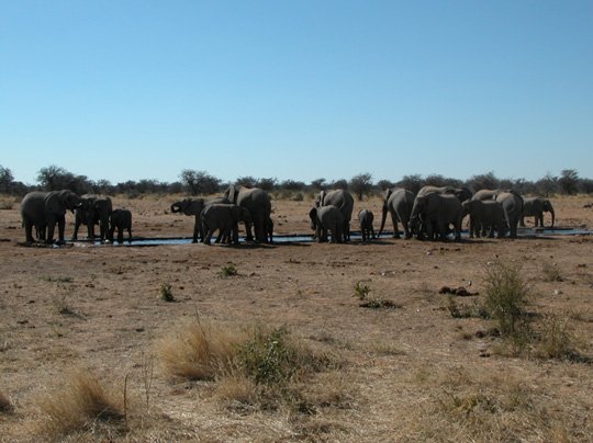 Namibia 2004