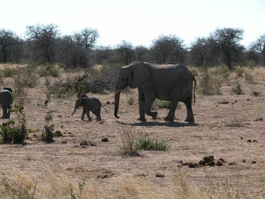 Namibia 2004