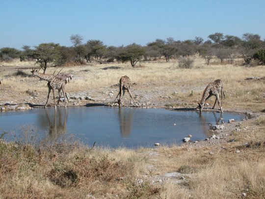 Namibia 2004