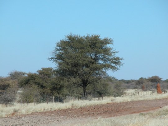 Namibia 2004