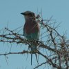 Namibia 2004