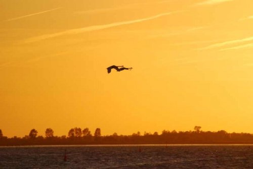 Ostsee 2010